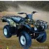 Sell 250cc ATV thumbnail-1