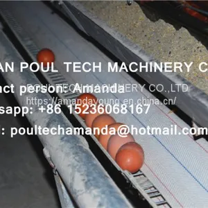 Philippines Chicken Farm Hot Galvanized Cage for Layer & A Frame Battery Hen Cage & Chicken Coop for Poultry Farm thumbnail-3