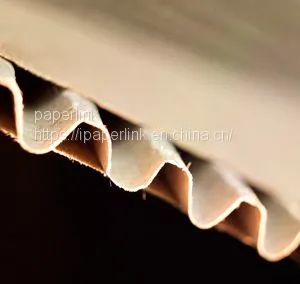 Kraft Fluting Paper Roll Making Machinery Corrugated Cardboard Production Line Paper Making Machine thumbnail-5