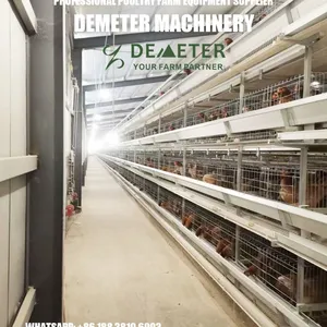Layer Chicken Battery Cage Automatic Equipment thumbnail-2