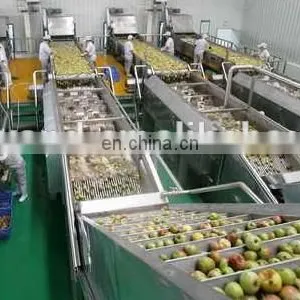 Fruit Vegetable Belt Juice Processing Machine thumbnail-2