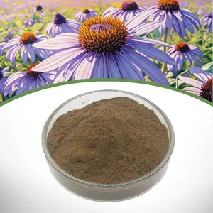 Echinacea Purpurea Extract thumbnail-1