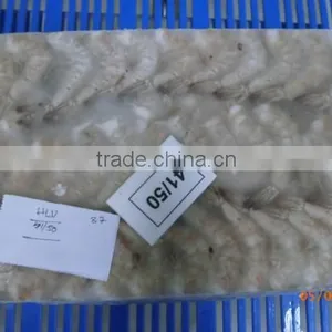 Frozen Vanamei Shrimp thumbnail-3