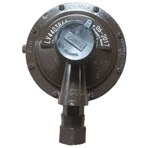 REGO LV4403B66 DN20 Pneumatic Pipeline Regulating Valve LPG Gas Low Pressure Industrial Burner Regulator 21kg/h Flow thumbnail-1