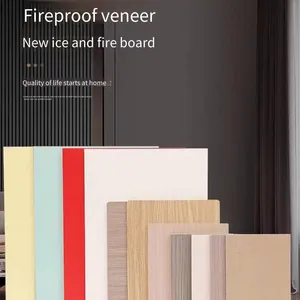 Ice and Fire Board, Class a Fireproof, e0 Grade Environmentally Friendly Decorative Panel With Calcium Silicate Substrate, Flame Retardant Board thumbnail-1