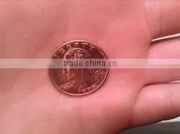 Golden Eagle Copper Barrel Plating Machinery thumbnail-3