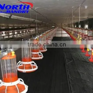 NORT HHUSBANDRY Auto Feeding System in Chicken House thumbnail-4