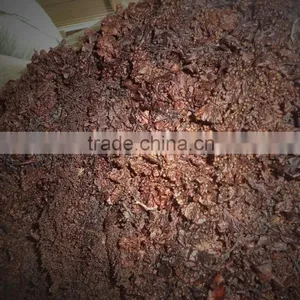 Sargassum Seaweed Powder Used for Organic Fertilizer thumbnail-2