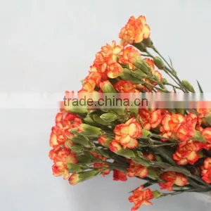 Elegant in Smell Hot Sale Fresh Carnation for Home Decoration thumbnail-3