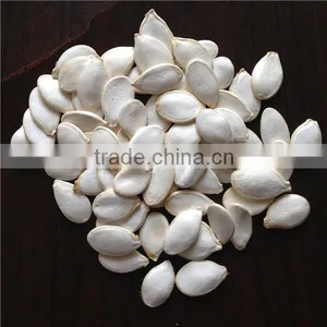 Sell Pumpkin Seeds 11cm 13cm thumbnail-2