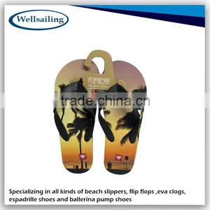 China Customized Hot Fashion Thick Sole Flip Flop,flip Flop Slipper thumbnail-1