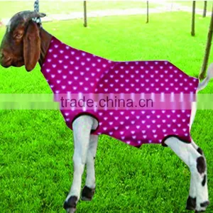 Patterned Spandex Lamb Tube thumbnail-1