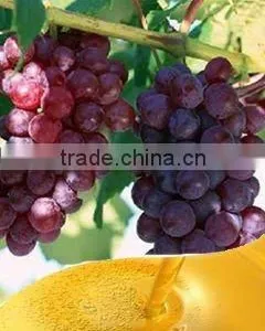 Cold Pressed Grape Seed Oil thumbnail-1
