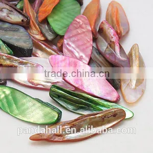 Mix Colored Natural Freshwater Shell Scrap Beads(BSHE-S027-11) thumbnail-1