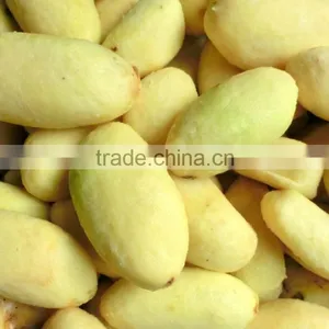 Potato Peeling Machine/Automatic Potato Peeling Machine thumbnail-3