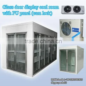 Glass Door Display Cool Room With PU Panel (cam Lock) thumbnail-1