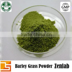 Best Selling Natural Green Barley Grass Powder thumbnail-5