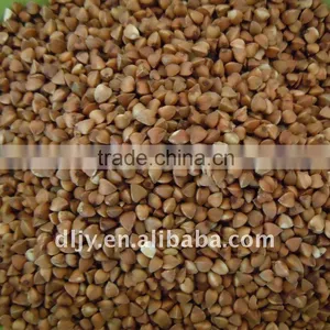 Buckwheat Rice New Crop 2011 thumbnail-1