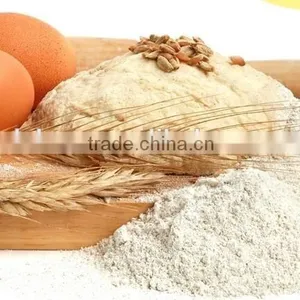 High Quality Organic Rice Protein Non-GMO thumbnail-2