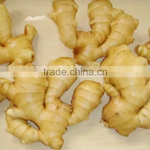 2014 New Crop Top Quality Fresh Ginger Market Price for Ginger thumbnail-1