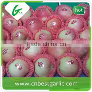 Fresh Chinese New Crop Red Gala Apple Wholesales thumbnail-4