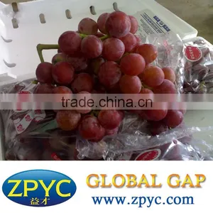 Chinese Red Globe Grapes Size thumbnail-1