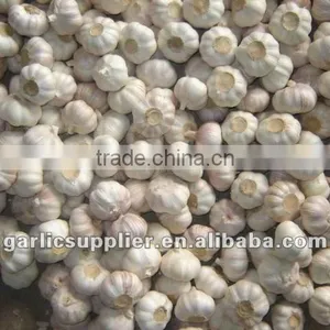 PURE WHITE GARLIC NEW CROP thumbnail-1
