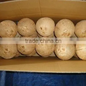 Coconut thumbnail-1