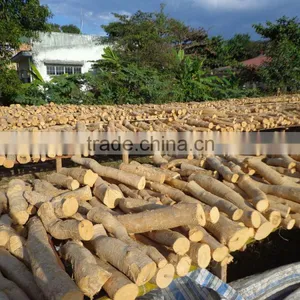 Tongkat Ali Root thumbnail-1