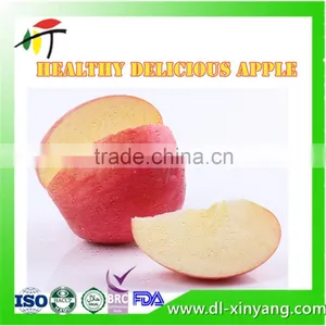 2016 New Season Natural Healthy Liaoning Hanfu Red Apple thumbnail-3