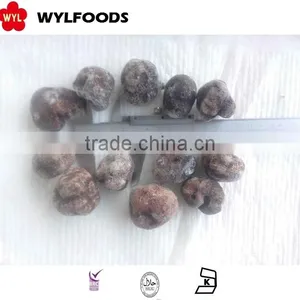 Frozen Summer Truffle Mushroom With Good Quality thumbnail-4