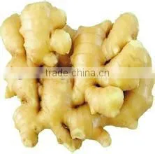 for Any Market Fresh Natural Ginger thumbnail-1