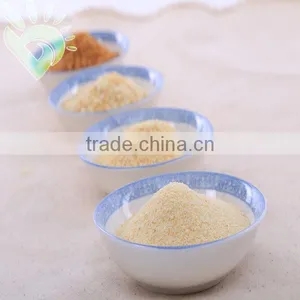 BEST DRY GARLIC CHOPPED thumbnail-1