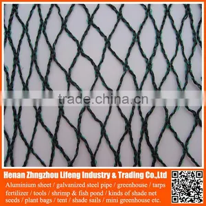 Chinese Factory Supply 100% Virgin Hdpe / pe Plastic Anti Bird Netting , pe Bird Protection Net , Plastic Anti Bird Net thumbnail-3