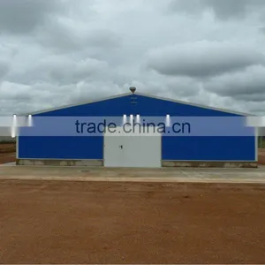 High Quality Steel Structure Chicken Farming thumbnail-1