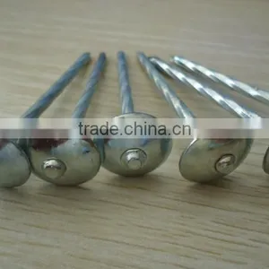 Umbrealla Nail With Roofing Head and Thread Nail Body thumbnail-2