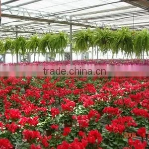 Garden Greenhouse thumbnail-2