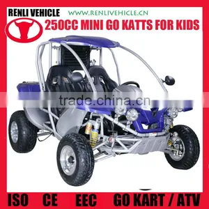 RENLI 4x4 250cc Buggy go Kart thumbnail-1