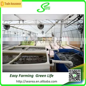 Plastic Arch Greenhouse for Sale thumbnail-2