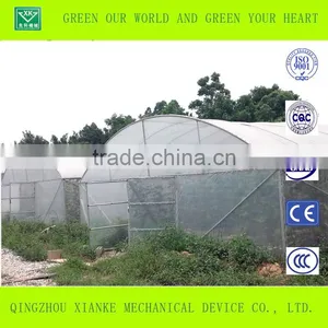 Large Venlo Film Greenhouse for Seeding thumbnail-3
