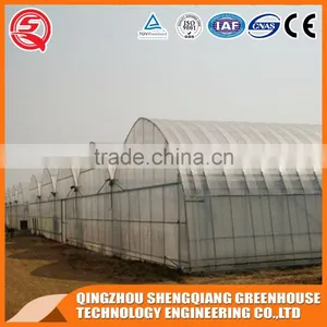 Multifunction Plastic Film Greenhouse for Agricultural Farming thumbnail-5
