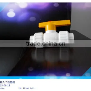 Cheap Best Price Ppr Valve, Plastic Double Union Ball Valve thumbnail-4