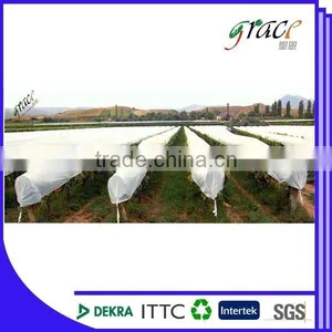 pp Spounbond Nonwoven Fabric Plant Cover thumbnail-1