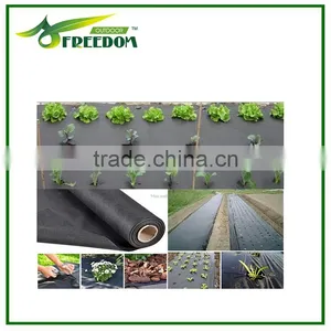 Agricultural Plastic Weed Control Mat / Ground Cover Net thumbnail-1