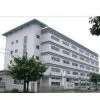 Westerntang Toy Factory company overview - view 1 thumbnail