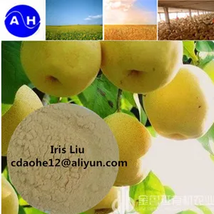 15% Iron Amino Aicd Chelated Organic Fertilizer AminoFe For Mineral Nutrition thumbnail-3