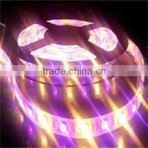 Black Light Led Strip Edge Light ALS 12V Led Strip thumbnail-3