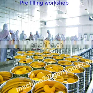 CHINA NEW ARRIVAL Vegetables Production Line Fruits and Vegetables Production Line thumbnail-5
