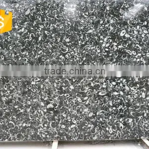 Cheaper Superior Supply Black Fossil Marble Decorative Wall Tile thumbnail-6