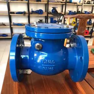 BS PN16 Cast Iron/Cast Steel /Ductile Iron WCB GG25 GGG50 EPDM NBR Rubber Soft Hard Seal Flange Check Valve Price thumbnail-6